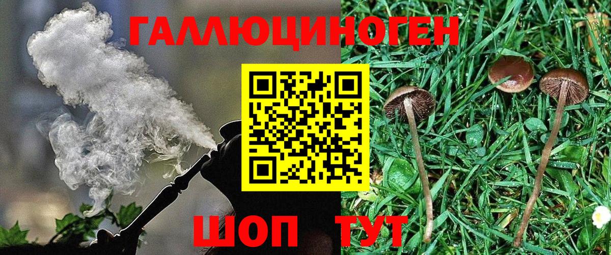 Псилоцибиновые грибы Cubensis  продажа наркотиков  Щёлково  Вход с VPN 